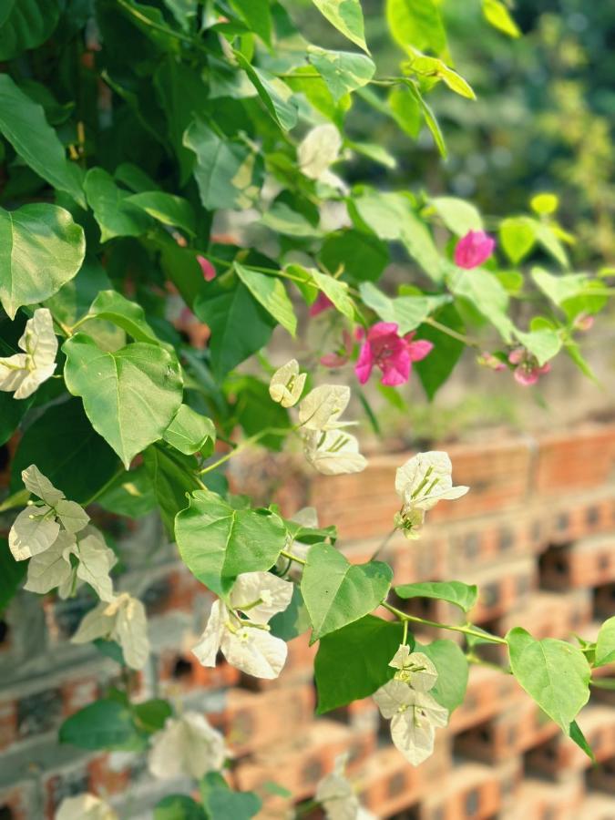 Trang An Moon Garden Homestay Ninh Binh Exteriér fotografie