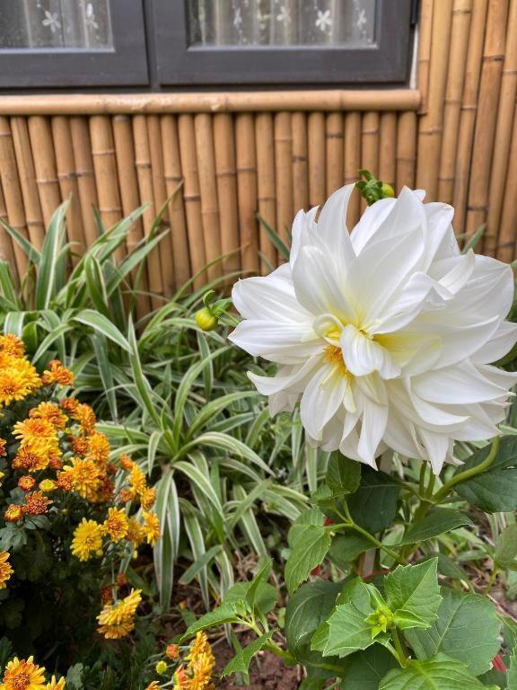 Trang An Moon Garden Homestay Ninh Binh Exteriér fotografie